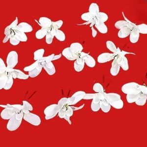 BengCraft White Orchid flower Hair Pin F...