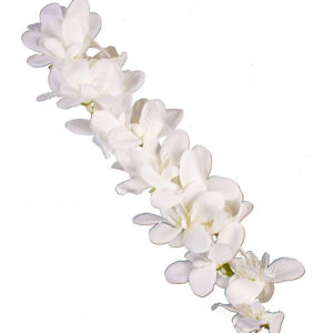 BengCraft White Orchid Flower Gajra for ...