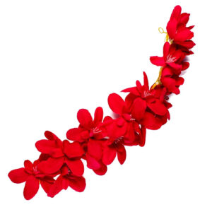 Hair Pins Clips Hair Buns Hair Styles Ar...