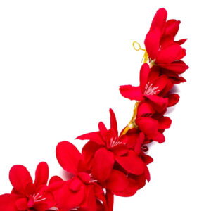 Hair Pins Clips Hair Buns Hair Styles Ar...