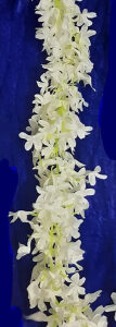 White Jasmine Flower Hair Accessories fo...