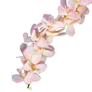 Hair Orchid Gajra Hair Juda Bun Decorati...