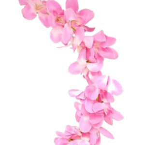 Juda Hair Accessories For Women and Girl...