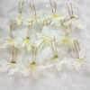 BengCraft White Orchid flower Hair Pin For Women's Bun and Stylish Pin for Long Hair White Pack of 12 - Image 3