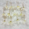 BengCraft White Orchid flower Hair Pin For Women's Bun and Stylish Pin for Long Hair White Pack of 12 - Image 4
