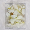 BengCraft White Orchid flower Hair Pin For Women's Bun and Stylish Pin for Long Hair White Pack of 12 - Image 5